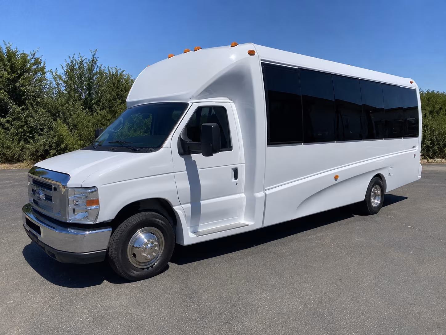 meridian birthday party bus rental