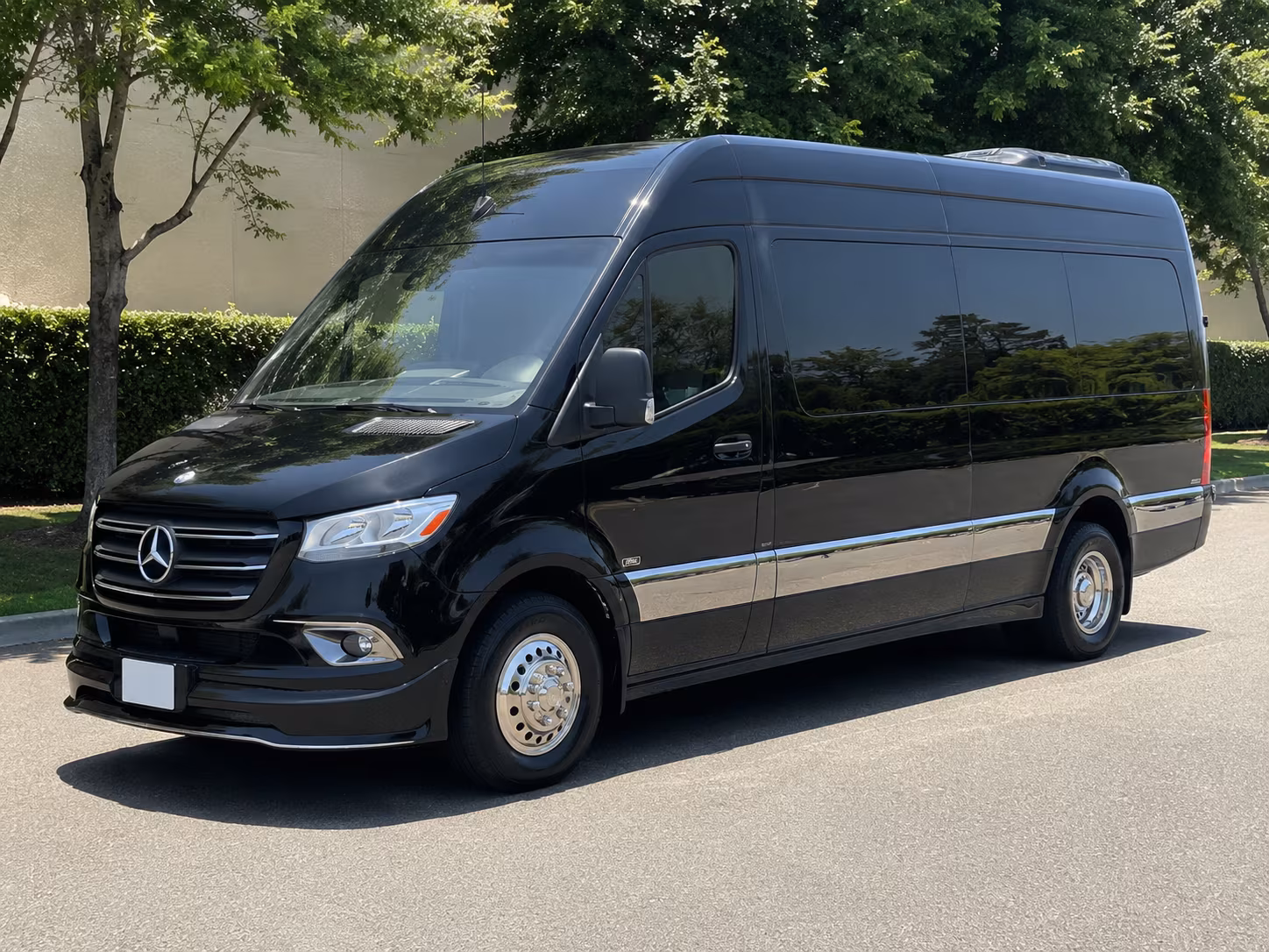 sprinter van and small bus rentals for intimate meridian weddings